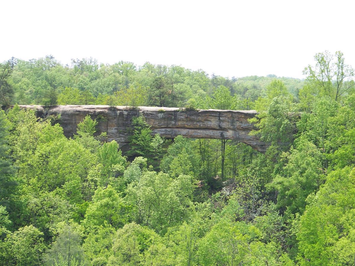 Natural Bridge State Resort Park Slade Bagian luar foto